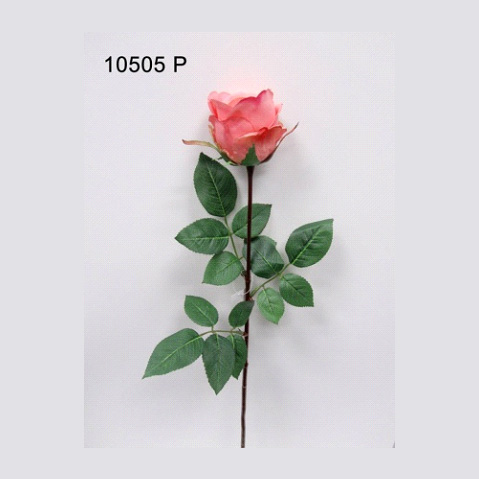 Роза Джесика, бутон (розовая)